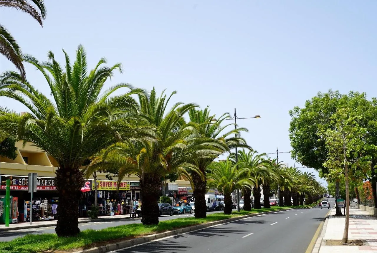 Apartment In Ocean Park, Costa Adeje, Tenerife  Costa Adeje (Tenerife)