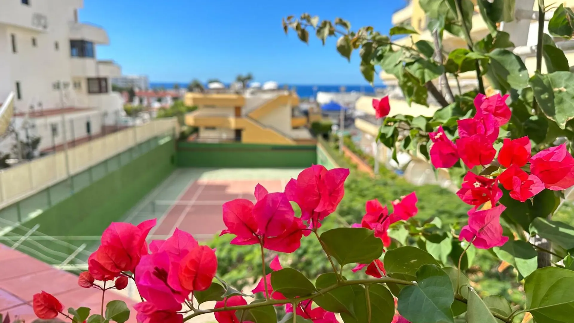 Apartment In Ocean Park, Costa Adeje, Tenerife  Costa Adeje (Tenerife)