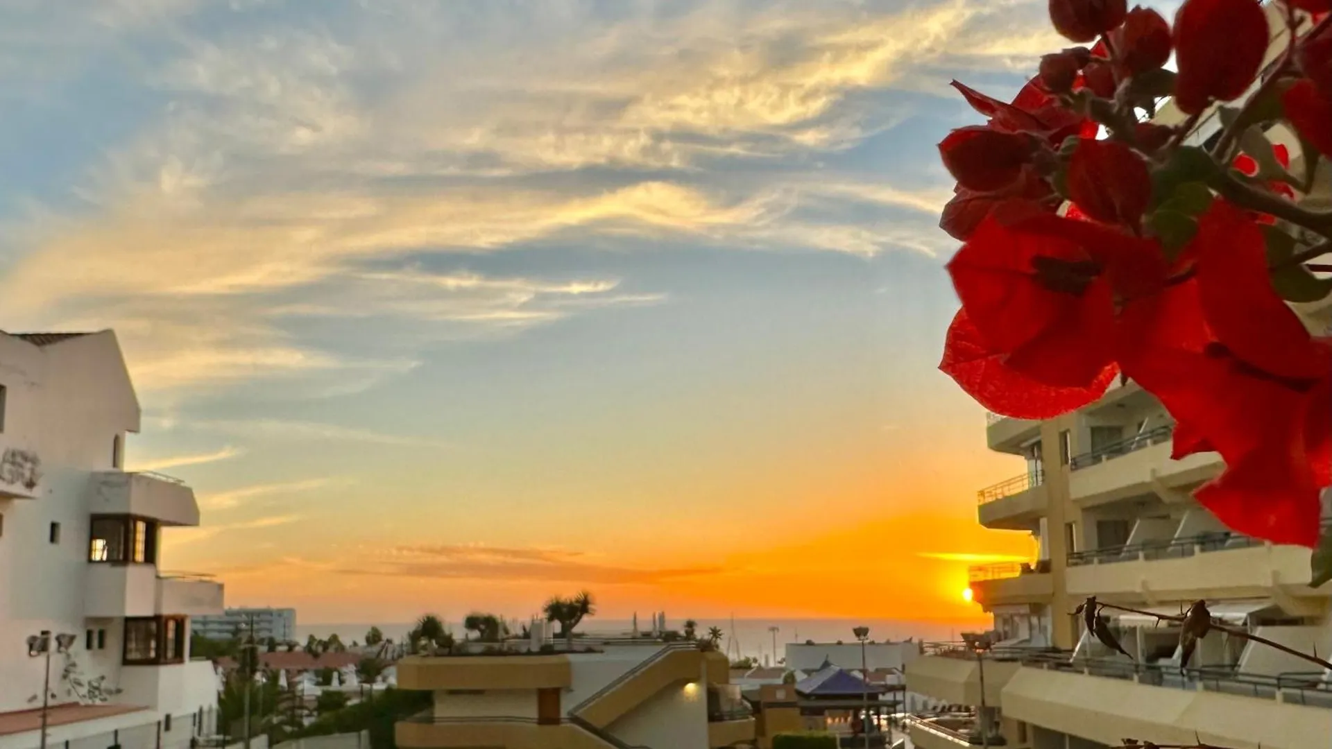 Apartment In Ocean Park, Costa Adeje, Tenerife location